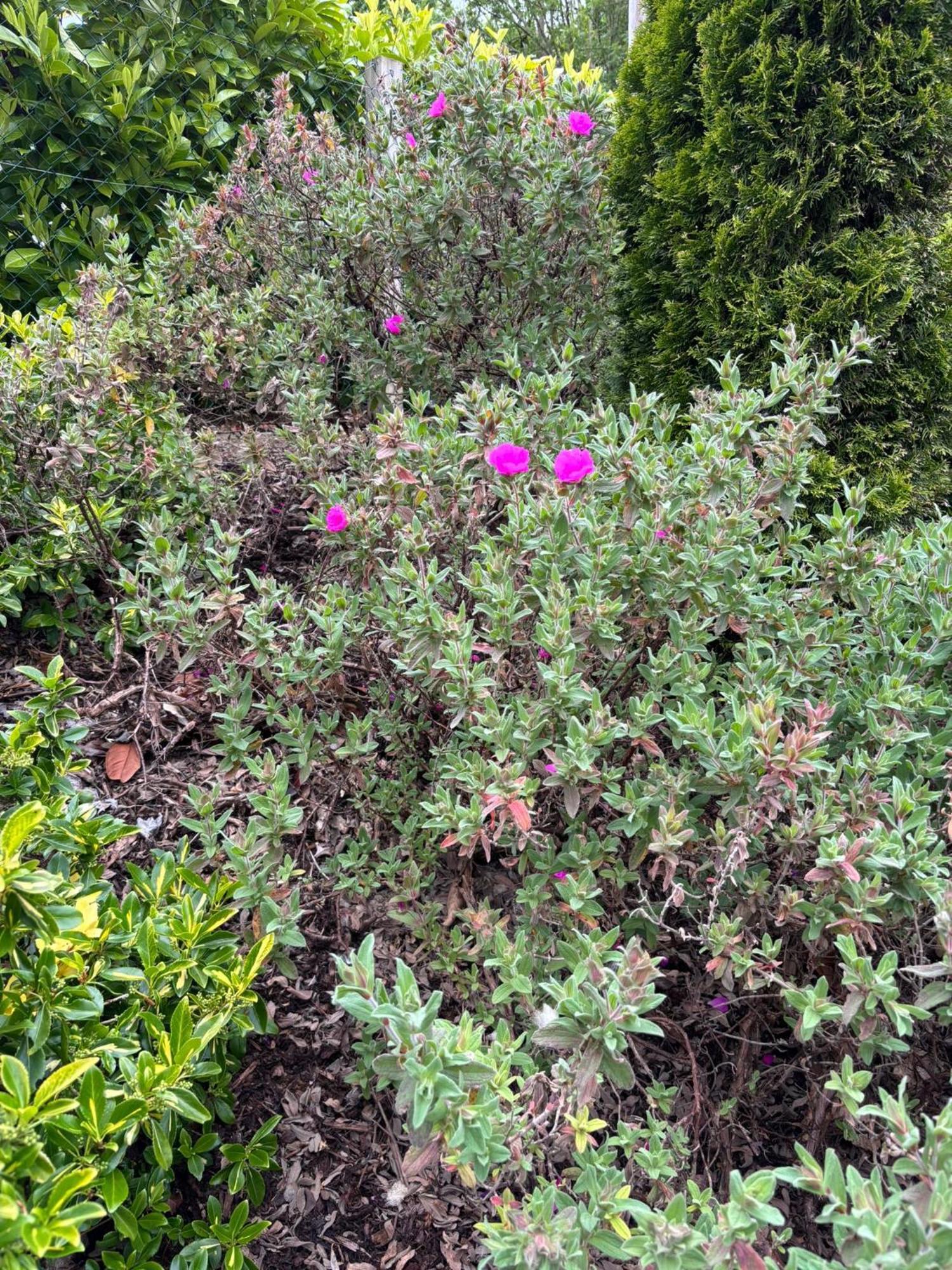 ホテル Stoneywood Haven, Galway Clarinbridge エクステリア 写真
